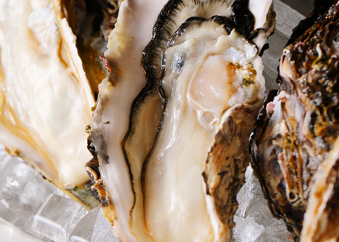 【狐崎漁港直送！】 牡蠣 （生 又は 焼き）